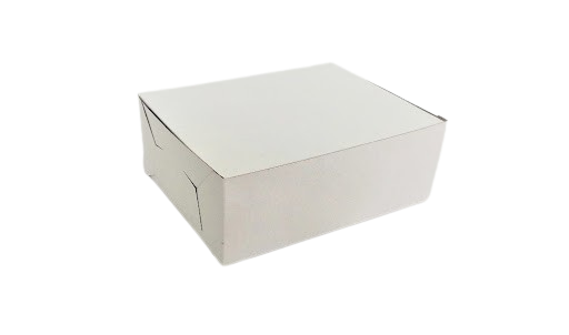 CAJA PLASTIFICADA X 500 UND 