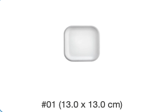 BANDEJA DARNEL # 1 X UND